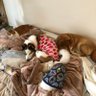 らっくまま 的头像