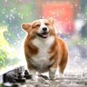 Profilbild von Tru Zark