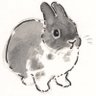misyou 的头像