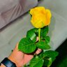 أبو الاكرمين's profile picture