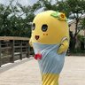 めぐみ's profile picture