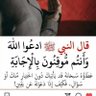 سلطان العصيمي's profile picture