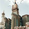 حمد الجش profil fotoğrafı