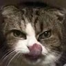 Profilbild von Warsplit