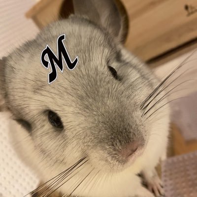 chirin14267's profile picture