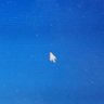 Random's profile picture