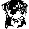 Theodor Rottweiler🇩🇪 🇦🇷 ⚽️'s profile picture