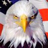 Eagle’s eyes's profile picture
