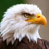 Tython's profile picture
