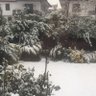 powerc profil fotoğrafı