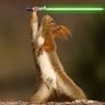 Squirrel-lka 🖖🇪🇺🇵🇱 的头像