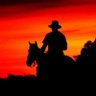 Llanero's profile picture