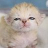あーぁ profil fotoğrafı