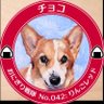 Profilbild von まぽん!♡