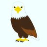 Birdman 的头像