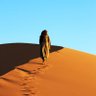 سسبيرو's profile picture
