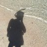 okinawacco / わっこ 的头像