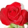 Neeta S's profile picture