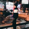 provisor 的头像