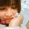 sumire🍏 profil fotoğrafı