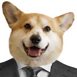 pitiwazou's profile picture