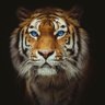 Фото профиля Brian