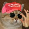 magacat🗽🇰🇷🇺🇸 的头像
