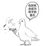 核平鸽's profile picture