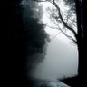 Profilbild von Adam Smith