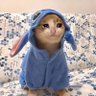 Amina. profil fotoğrafı