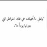 محمد شعلان's profile picture