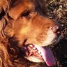 Profilbild von HONO24