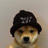 Dog Never BARKING Again 的头像