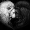 a5's profile picture