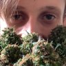 Igor Seco's profile picture
