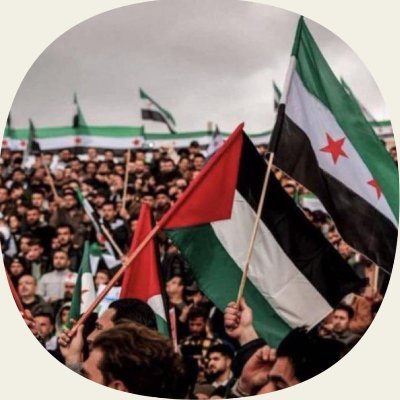 ZaidRevolution's profile picture