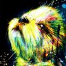 Profilbild von CaduFalante
