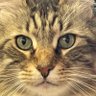 Masaki Oda's profile picture