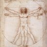 Profilbild von marco angiolieri