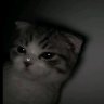 Jota🤍's profile picture