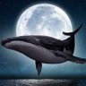 MoonWhale profil fotoğrafı