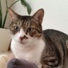 あずゆき's profile picture