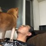 鉄太郎 profil fotoğrafı