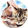 きぬ&ワサビ_ベンガル姉弟 profil fotoğrafı