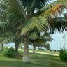 الأزدية profil fotoğrafı