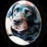 CD84 #KB24's profile picture