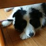 まみどん profil fotoğrafı