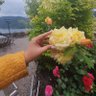 فاطمة العتيبي 🕊 profil fotoğrafı