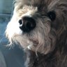 Debra's profile picture