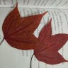 Фото профиля เหมือนคนละฟากฟ้า